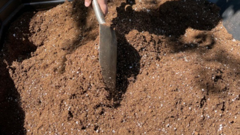Potting Mix Additives Market GROWTH, TRENDS 2022-2028| Research Informatic