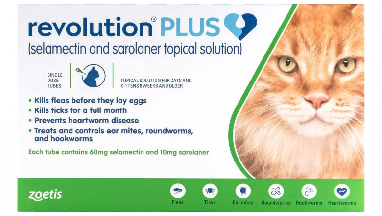 Revolution Plus Cat at LOWEST Deal at SA!!
