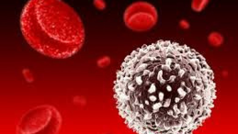 Circulating Tumor Cells Market Challenges, Leading Key Players Review, Demand and Upcoming Trend by Forecast to 2029