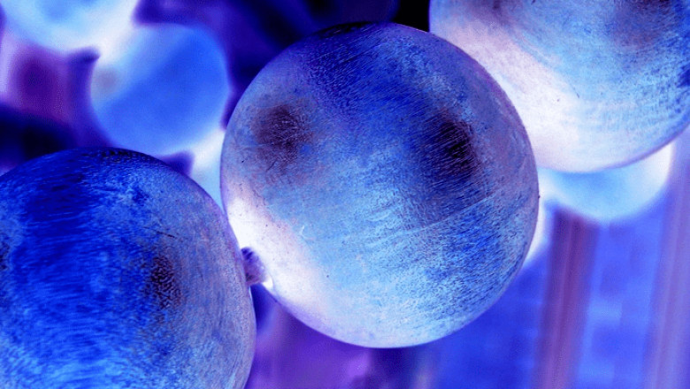 Industrial Enzymes Market Statistics, By Application, Production, Revenue & Forecast To 2022-2030