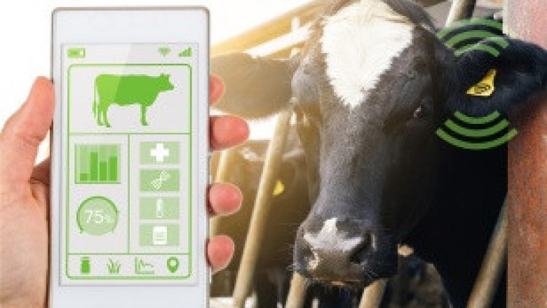 Livestock Monitoring Market 2020-2027 Analysis Report Segmented by Size, Share & Applications