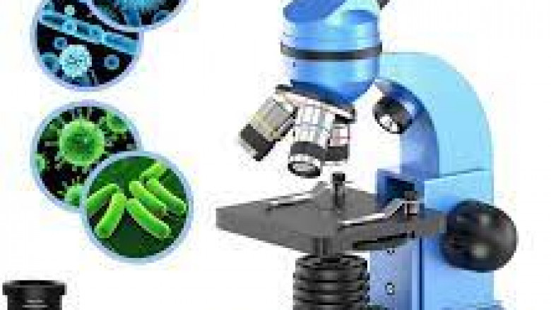 Microscope Market Growth, Future Scope, Challenges, Opportunities, Trends, Outlook And Forecast To 2028