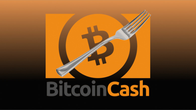 Most Common Crypto Questions Answered Here for Beginners