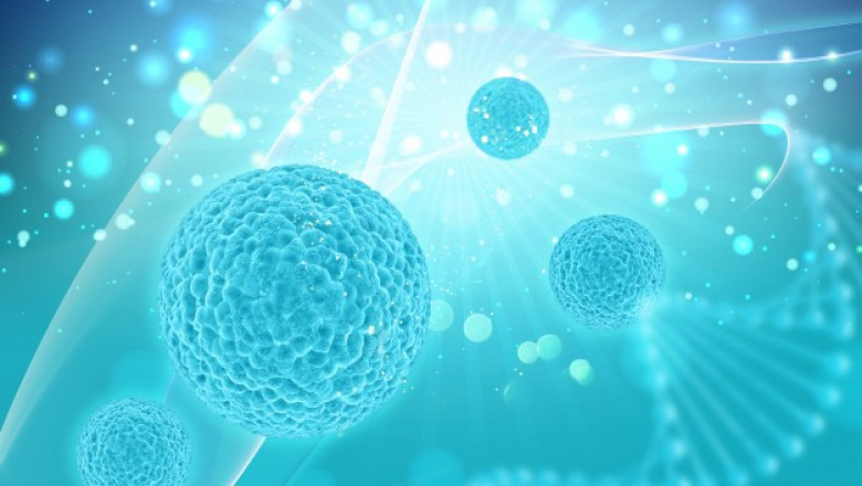 Apoptosis Assay Market Share, Assumptions and Acronyms, Growth Drivers, Demand Risk Analysis and Forecast to 2028