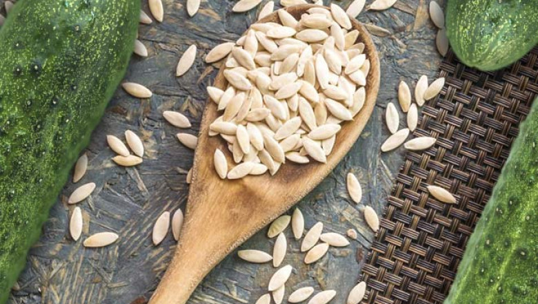 Cucumber Seeds Market Report is expected to boost demand over the forecast period 2019 - 2027