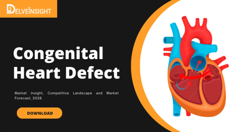 What is the Congenital Heart Defect Devices Market Size?