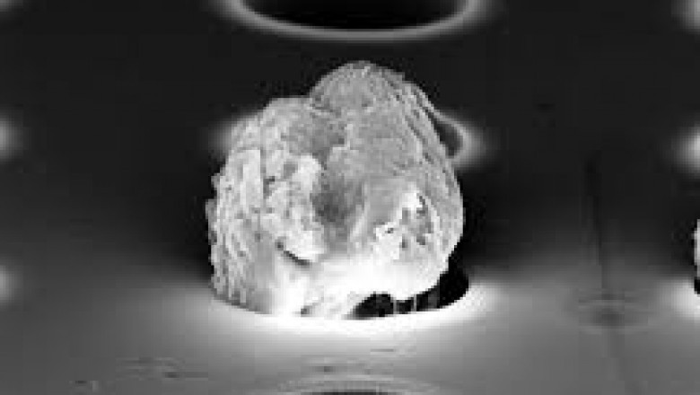 Circulating Tumor Cells Market 2022 Analysis Trend, Applications, Industry Chain Structure, Growth, and Forecast