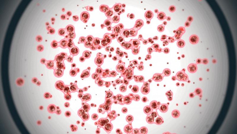 DNA & RNA Banking Services Market Trends, Size, Segments, Emerging Technologies and Industry Growth by Forecast to 2028