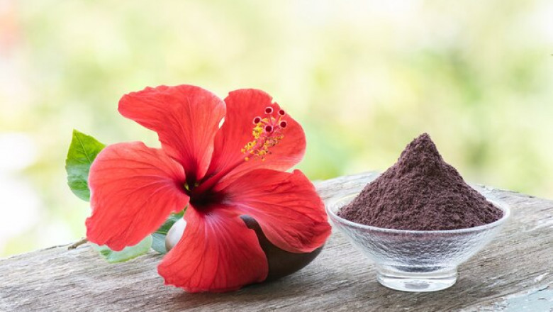 Hibiscus Flower Powder Market Global Trends, Size, Segments and Growth by Forecast to 2028