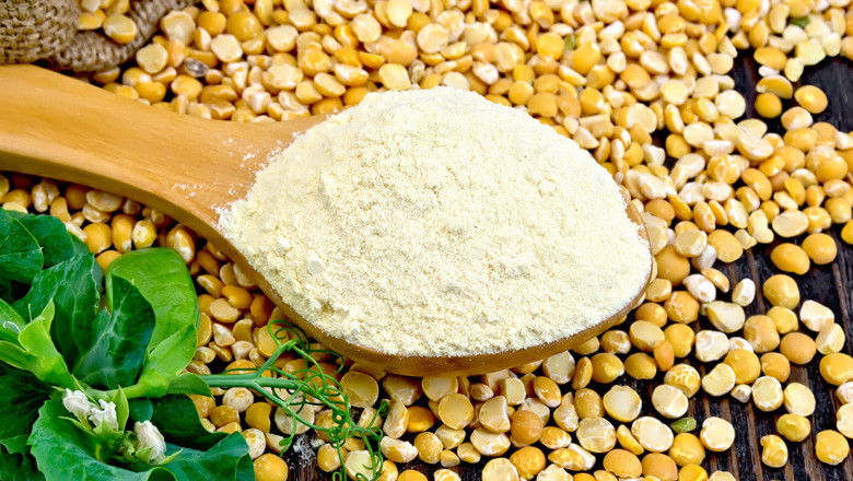 Pea Protein Market Global Trends, Size, Segments and Growth by Forecast to 2028