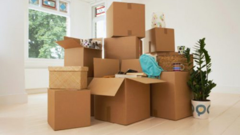 Removalist Guide