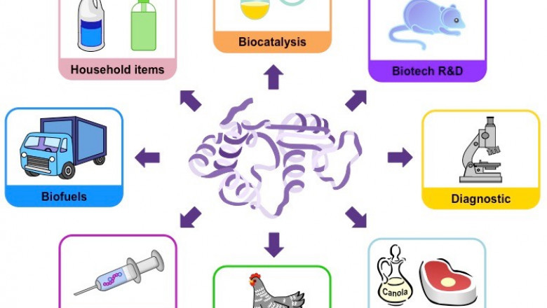 Industrial Enzymes Market Size will Reach USD 8.50 Billion By 2028: Polaris Market Research