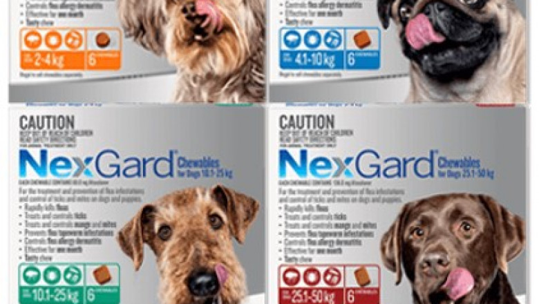 Top Quality Flea & Ticks Treatment for Medium Dog