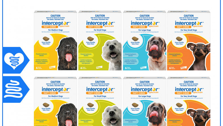 Interceptor Spectrum Worm Treatment for Dogs 12 Chews