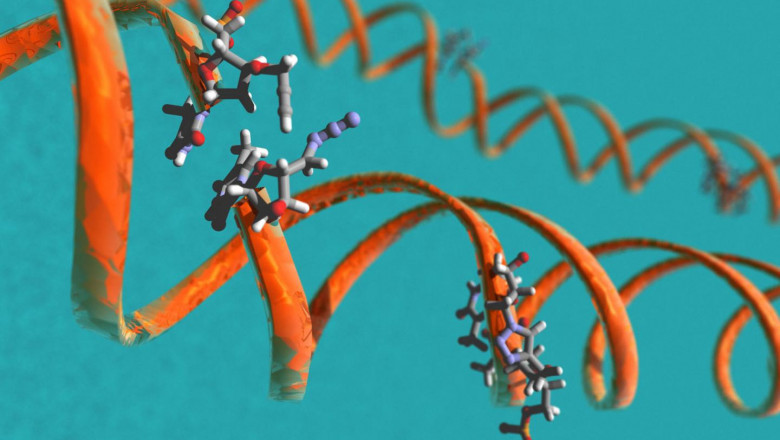Gene Synthesis is a genetic engineering process in which a DNA sequence is created and modified to explore potential biological functionalities