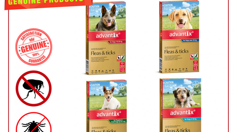 Advantix is the perfect flea and tick prevention 3 chews for Dogs
