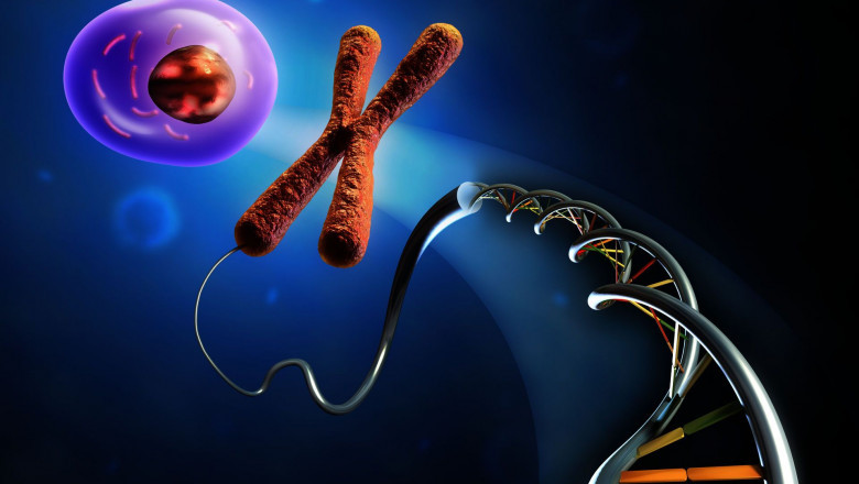 Recombinant DNA Technology Market Overview
