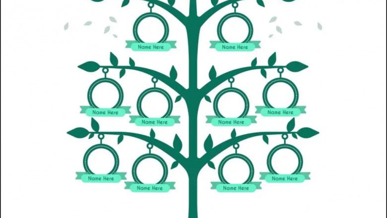 HOW TO UPGRADE THE FAMILY TREE MAKER 2019