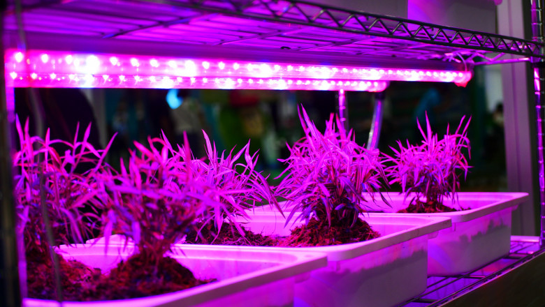 Grow Lights Market Segments, Leading Players, Application, and Forecast Analysis