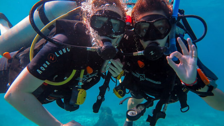 Dive Operators Can Be Fun For Anyone