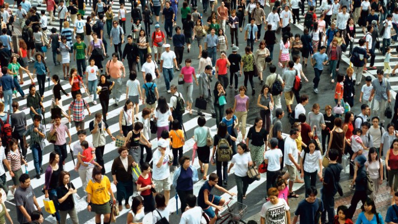 What is Crowd Analytics behaviour analysis?