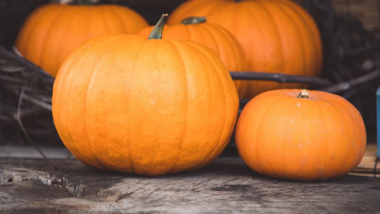 Capture 7 Reasons to add pumpkin to your diet