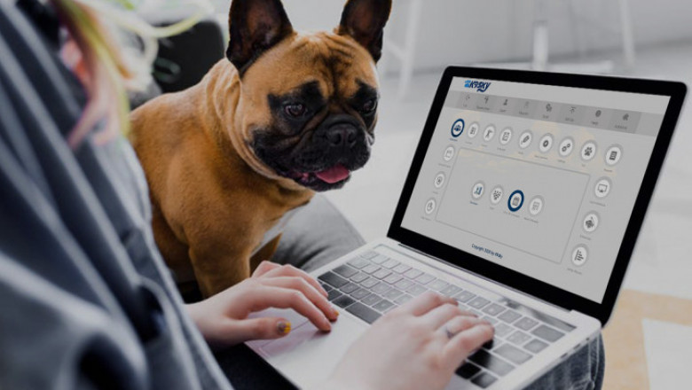 Advantages of Using Pet Kennel Software for Smooth Pet Business Management