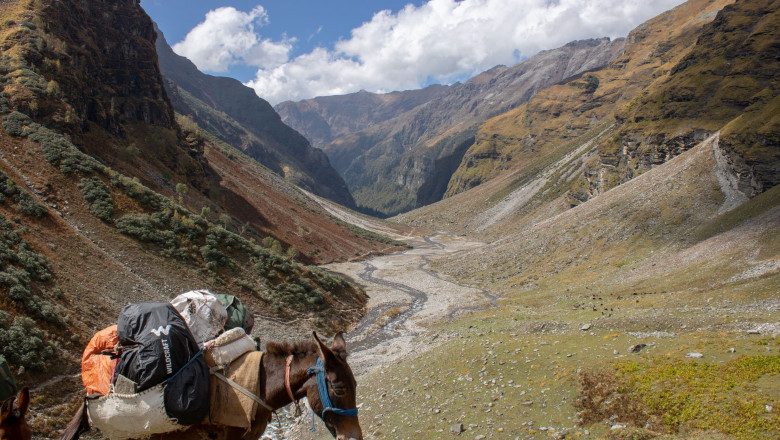 Rupin Pass Trek Package | Book Online @ Flat 20% Off