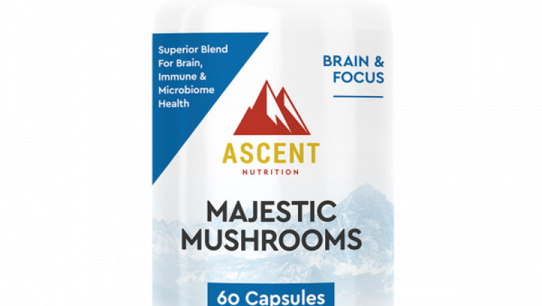 Brain Support Supplements: What You Need To Know
