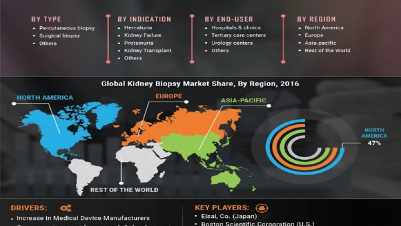 Kidney Biopsy Market Size, analysis, and forecast report by 2029