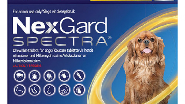 On Going SALES for NexGard Spectra - GRAB NOW!!