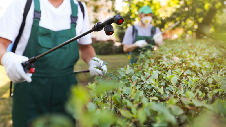 Pest Control Products And Services Market is projected to surpass US$ 30 billion by the end of 2027