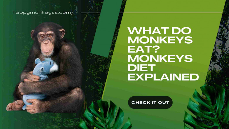 What kind of food do monkeys consume?