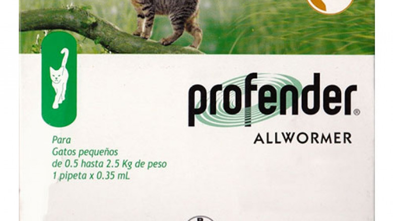 A Perfect Dewormer to Prevent Worm Infections