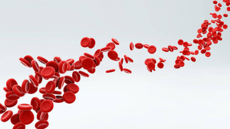 Blood Coagulation Testing Market Growth, Type, Application, Overview With Detailed Analysis, Risk Assessment, Industry Estimate Value And Share Till 2027