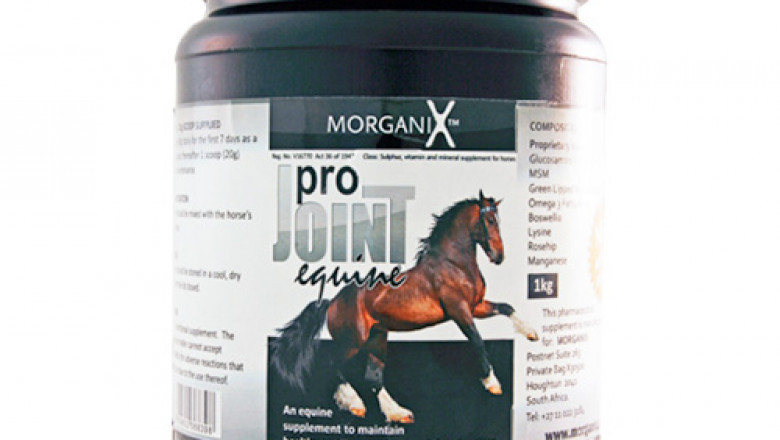 Buy Morganix Pro Joint Equine Online in South Africa