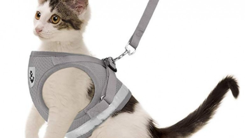 Buy The GAUTERF Visibility Pet Harness & Leash – Find Quality Ones