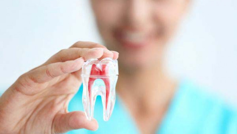 Benefits of Regular Dental Check-Ups – Tower House Dental Clinic