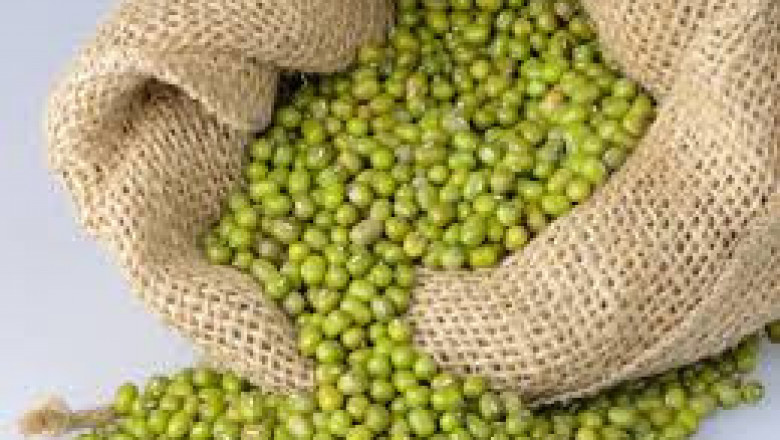 Mung Bean Market Trends, Research, and Analysis for the Forecast Period 2022-2028