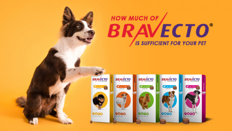 BRAVECTO Chew for Dog