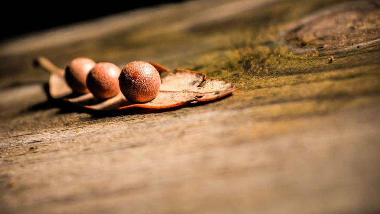 10 things your competitors can teach you about 8231e1c
