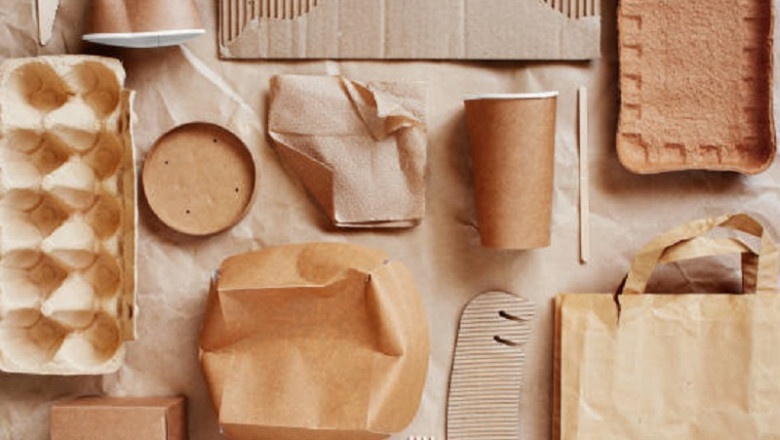 Biodegradable Paper and Plastic Packaging Market share Analysis, & Forecast 2028