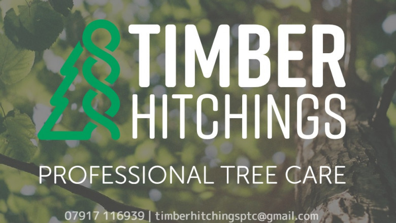 Go for Qualified Tree Care Services