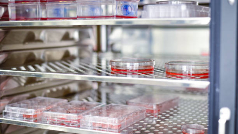Stem Cell Manufacturing Market Report : Competition is Intense with The Presence of Existing Players 2027