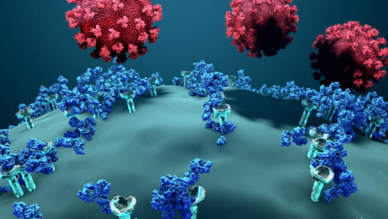 Host Cell Contaminant Testing Market COVID-19 Research Analysis, Strategic Insights and Forecast to 2027