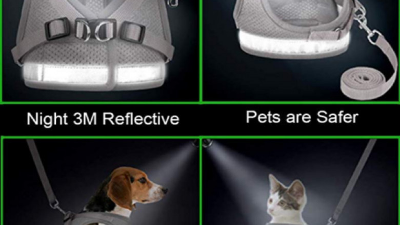 Choose From The Best GAUTERF Visibility Pet Harness & Leash Online