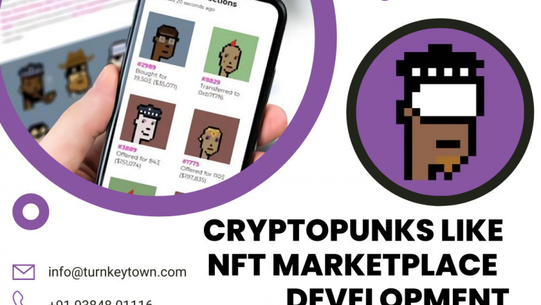 Instigate your White-label CryptoPunks clone development