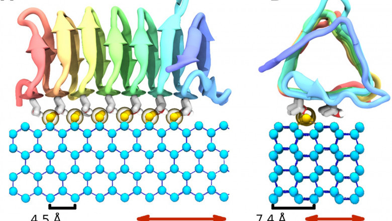 In-Depth Analysis of Antifreeze Proteins Market, Forecast 2021-2028