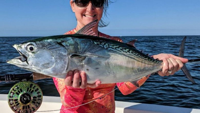 Crystal River fishing charter