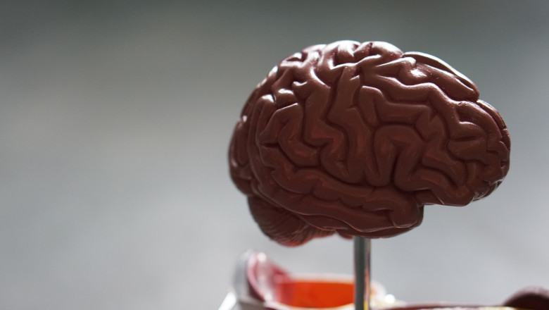 Methods to deal with traumatic brain injury symptoms